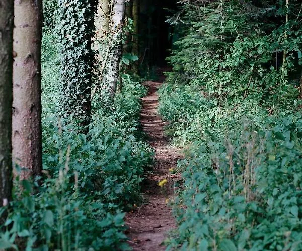 Apartmán Agroturystyka 